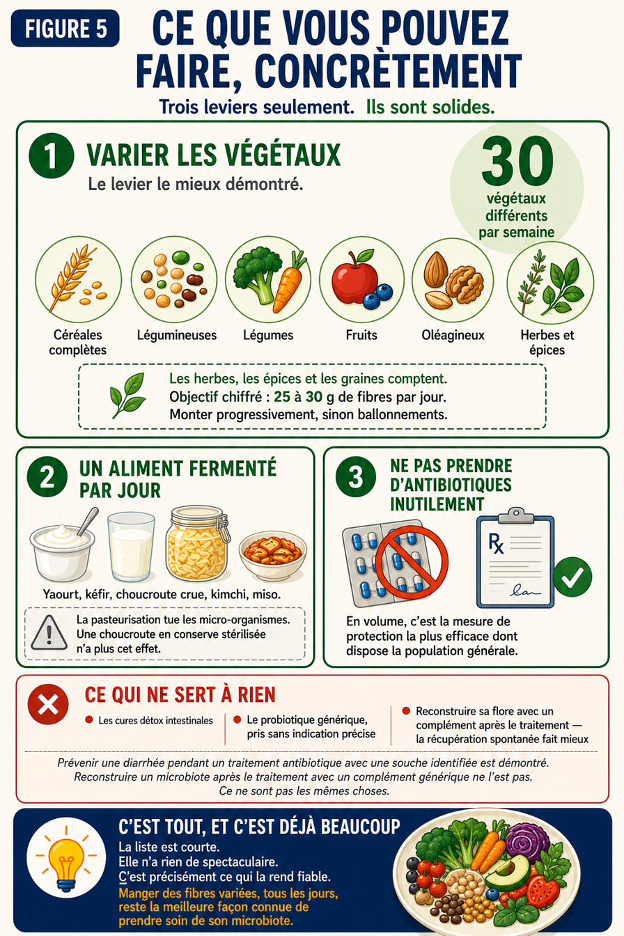 Infographie présentant trois leviers concrets pour le microbiote : varier les végétaux avec un objectif de trente végétaux différents par semaine, consommer un aliment fermenté par jour, et éviter les antibiotiques inutiles, ainsi qu’un rappel de ce qui ne sert à rien.